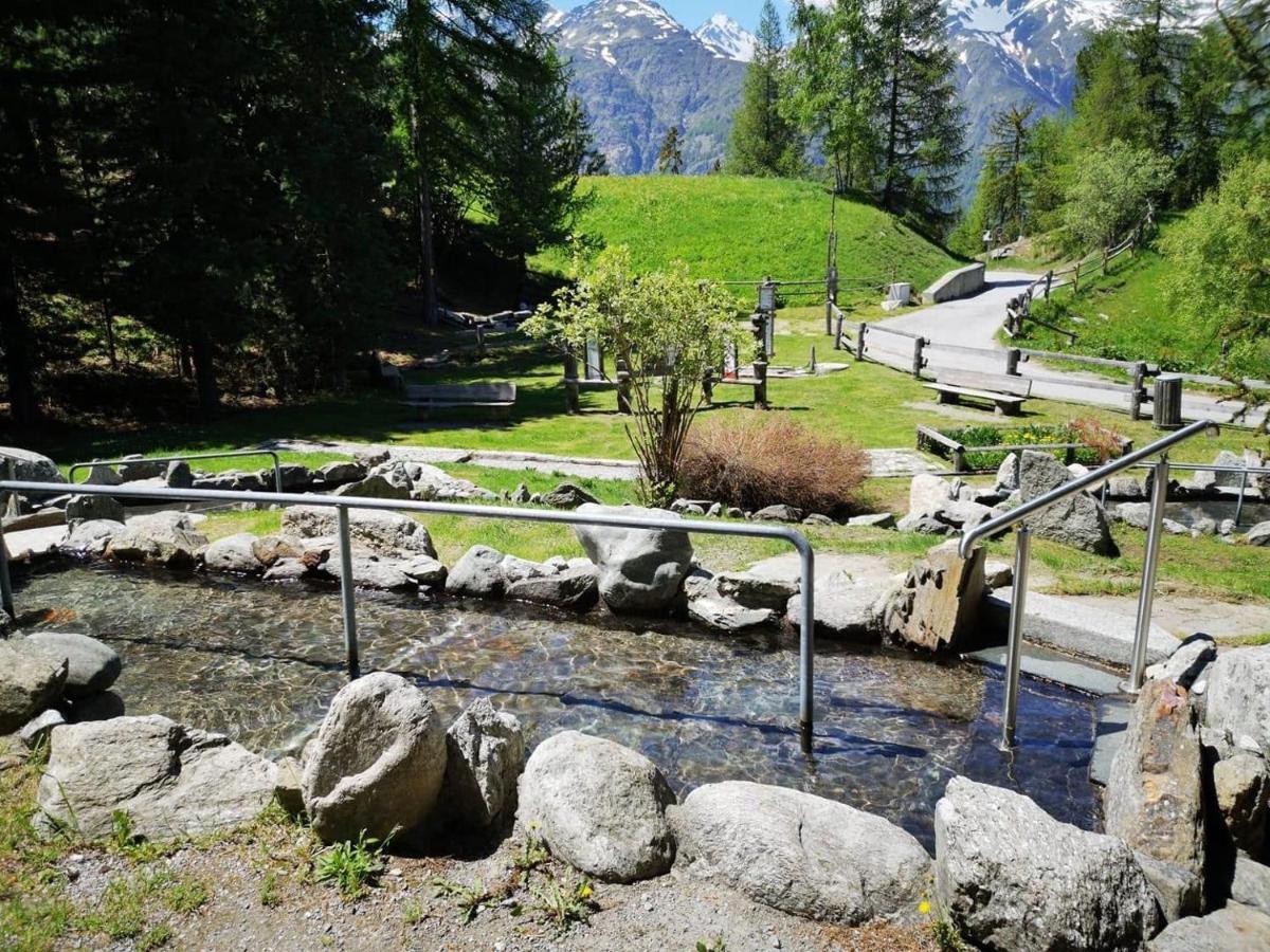 Ferienwohnung Edelweiss Grächen Dış mekan fotoğraf
