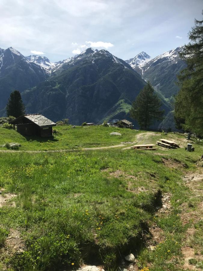 Ferienwohnung Edelweiss Grächen Dış mekan fotoğraf